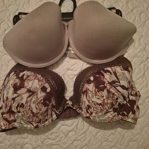 BCBGMaxAzria Cream and Burgundy Pinkish Floral Bra Set